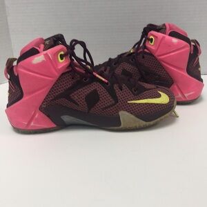 Nike LeBron James sneakers